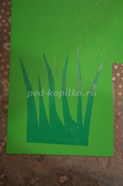 Tsarevna - broasca (printesa) Tsarevna - broasca