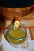 Puterea de vindecare a cedru - accesibil tuturor (nuci de pin siberian) Puterea de vindecare a cedru - accesibil tuturor