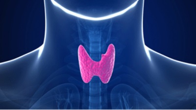 Ce rezultatele decodificare cu ultrasunete tiroidă (prostată) Ceea ce face cu ultrasunete tiroida rezultatele decodificare