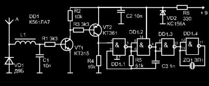 Detector 1 bugs (gândacii detector) bug-uri Detector 1