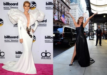 Celine Dion meniuri dietetice, retete, secrete de armonie si frumusete (dieta) meniuri dietetice Celine Dion, rețete, secrete de armonie și frumusețe