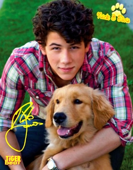 Blog-uri - frații jonas (frați) Bloguri - Jonas Brothers