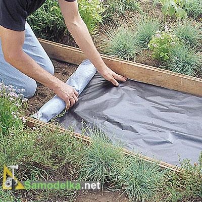 calcar Track cu mâinile lor (cu mâinile) calcar Track cu mâinile lor