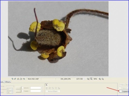 Camera ca un microscop (capătul butonului declanșator) Camera ca un microscop