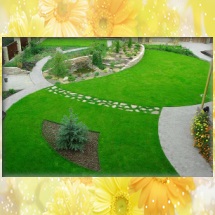 Peluze - amenajare a teritoriului și a peisajului porțiune proeminentă (peluze) Peluze - design peisagistic și site-ul de design peisagistic