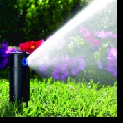 Peluze - amenajare a teritoriului și peisajului părții proeminente (peisaj) Peluze - design peisagistic și site-ul de design peisagistic
