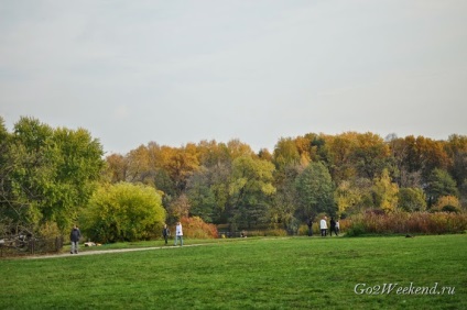 Main Grădina Botanică (Grădina Botanică. Tsitsin) Main Grădina Botanică