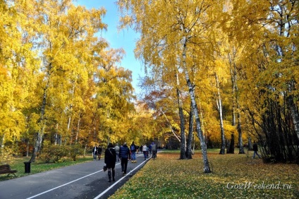Principala Gradina Botanica (parcuri Moscova) Main Grădina Botanică