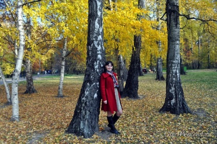 Principal Grădina Botanică (botanică) Main Grădina Botanică