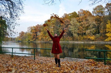 Principal Grădina Botanică (Natura) Main Grădina Botanică