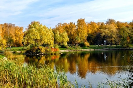 Main Grădina Botanică