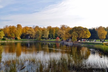 Main Grădina Botanică (Grădina Botanică din București) Main Grădina Botanică