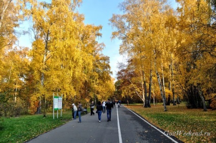 Principal Grădina Botanică (Natura) Main Grădina Botanică