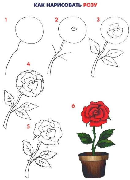 Cum de a desena un 8 martie pe o carte poștală trandafiri, flori, cum se face pas cu pas (do) Cum de a desena un 8 martie pe o carte poștală trandafiri, flori, cum se face pas cu pas