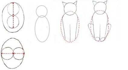 Cum de a desena o pisica cu un creion în etape pentru începători foto și video