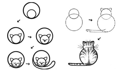 Cum de a desena o pisica cu un creion în etape pentru începători foto și video