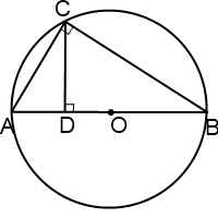 Perpendicular împarte diametrul