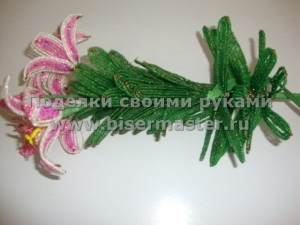 Cum sa faci Beaded crin regal, margele de master (margele recrut central) Cum de a face șirag de mărgele crin regal, maestru de margele