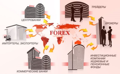Cum sistemul de schimb valutar pe piața valutară a schimburilor și a societăților de brokeraj (schema) Cum sistemul Forex piața valutară a schimburilor și a firmelor de brokeraj