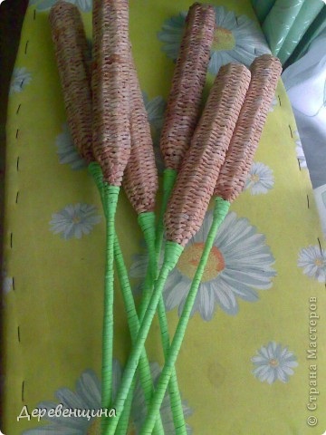 Gonește de ziare (stuf) Gonește de ziare