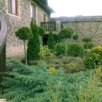 Peisaj grădinărit, Zelenstroy (întruchipează calitativ de viață) grădinărit Peisaj, Zelenstroy