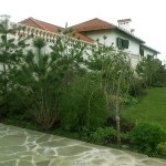 Peisaj grădinărit, Zelenstroy (peisaj de grădinărit) grădinărit Peisaj, Zelenstroy