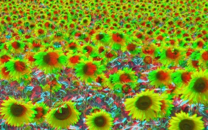 Cele mai bune peisaje stereo foto (Consiliul) Cele mai bune peisaje stereo foto