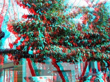 Cele mai bune peisaje stereo foto (fotograf) Cele mai bune peisaje stereo foto