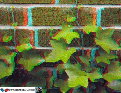 Cel mai bun peisaj stereo foto (fotografiere) Cele mai bune peisaje stereo foto