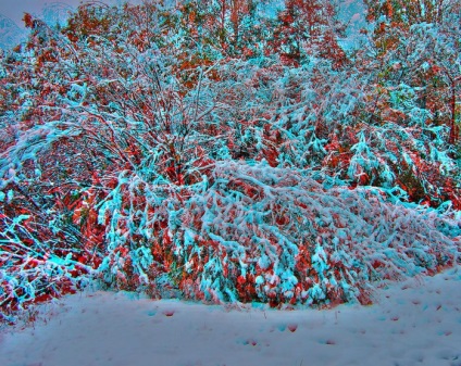 Cel mai bun peisaj stereo fotografie (fotografiere puncte offset) Cele mai bune peisaje stereo foto