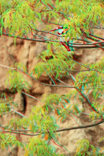 Cele mai bune peisaje stereo foto (fotograf) Cele mai bune peisaje stereo foto
