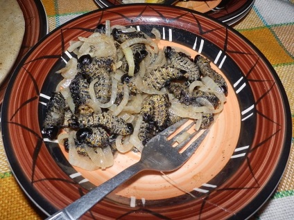 ghid de meniu hexapod Maksim Russo la entomologie culinară (à la carte) ghid de meniu hexapod Maksim Russo la entomologie culinară