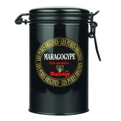 cafea Maragogype (cafea Maragogype Nicaragua) cafea Maragogype