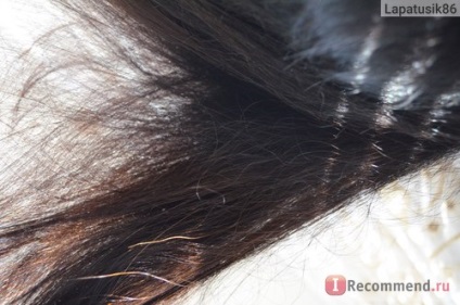 Maioneza pe ou de prepelita - „acest lucru este de necrezut! N-aș fi crezut dacă nu aș fi verificat pentru tine! Rinse () Maioneza pe ou de prepelita - „acest lucru este de necrezut! N-aș fi crezut dacă nu aș fi verificat pentru tine! spăla