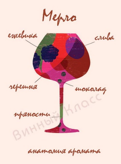 Merlot (merlot) (merlot) Merlot (merlot)