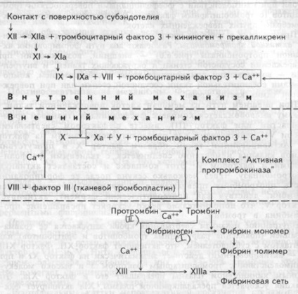 mecanisme de hemostaza