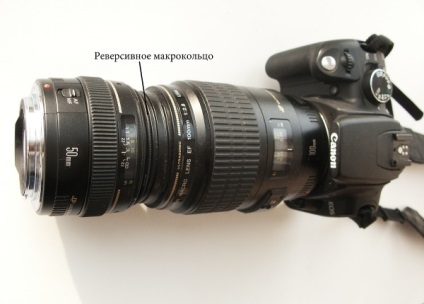 Microscopul camerei ( „nativ“ al camerei) Microscopul camerei