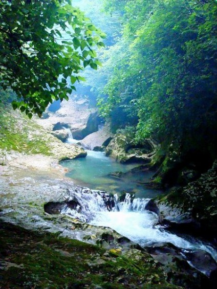 Apa minerala (repaus în Gagra) ape minerale