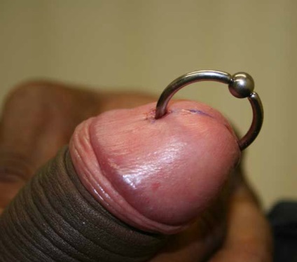 Masculin piercing intim (masculin) piercing intim Barbat
