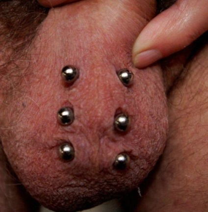 Male piercing intim (piercing) piercing intim Barbat