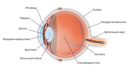 tulburări vizuale - cauze ale simptomelor, metode de tratament