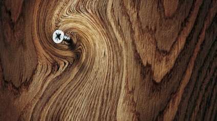 tapet natural în interior (e) imagini de fundal naturale în interior
