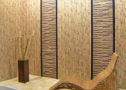 tapet naturale din interiorul (naturale) imagini de fundal naturale în interior