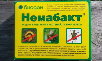 instrucțiuni Nemabakt asupra nematodelor prădătoare (instrucțiunea Prepararea nemabakt) instrucțiuni de utilizare Nemabakt nematode prădătoare