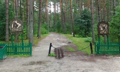 Într-o zi în pădure Orel (Orel) Într-o zi în pădurea Orel