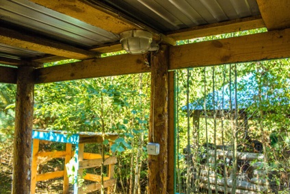 Într-o zi în pădurea Orel (o vacanță de familie în vultur) Într-o zi în pădurea Orel