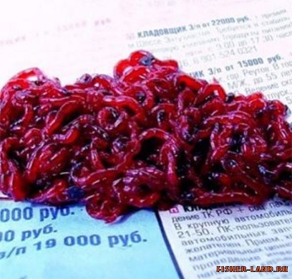 Proprietăți plătică alimentare (pescuit locația selectată) Caracteristici ale plătică alimentare