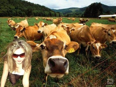 Otfotoshopte-mă! (Eliminare) Otfotoshopte-mă!