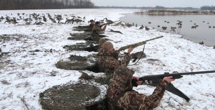 Vânătoare pentru bătătură (bătătură) Duck de vânătoare