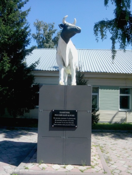 Monumentul de vacă românesc în regiunea Promyshlennovsky (România) Monumentul de vacă românesc în zona Promyshlennovsky